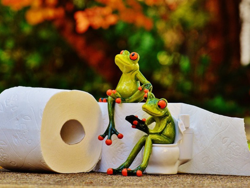 Chemietoilette Fürs Camping: Das 1x1 Der Chemietoiletten