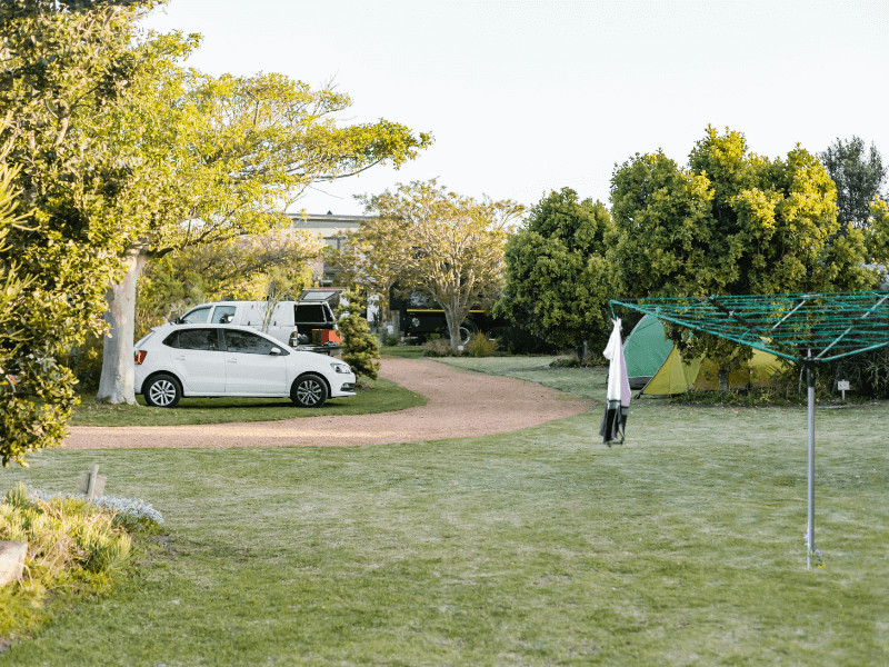 camping wäschespinne