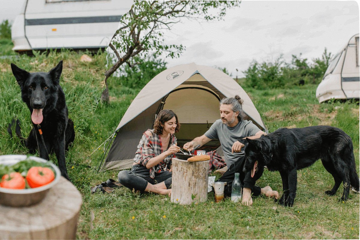 hund mit campingplätz