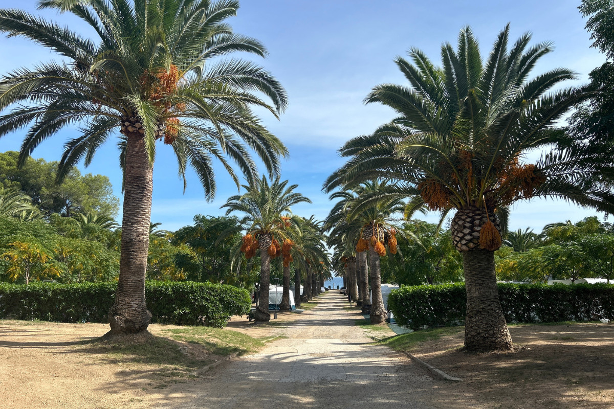 camping playa montroig 